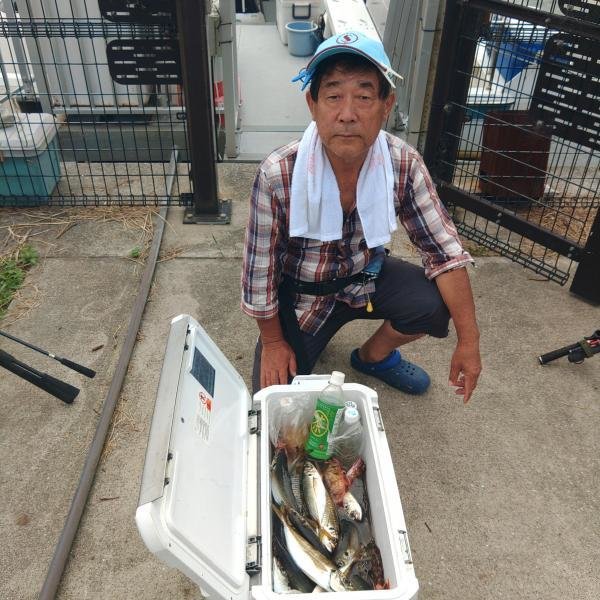 アジ(マアジ)