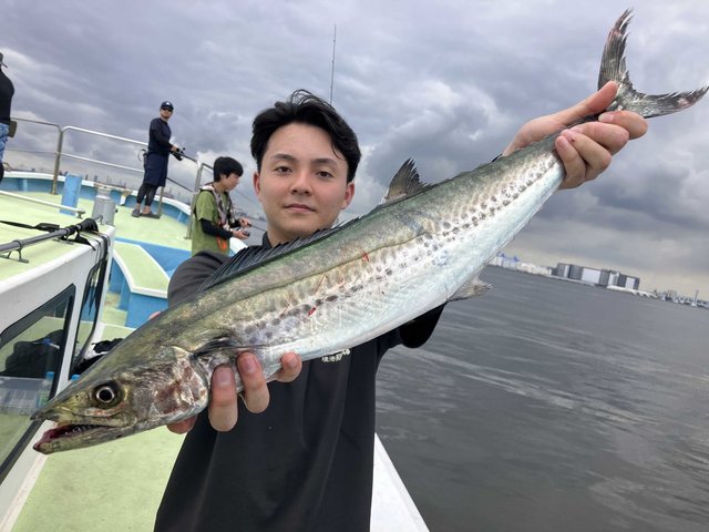 サワラ