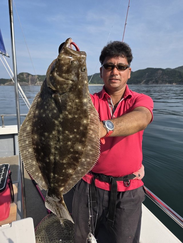 ヒラメ