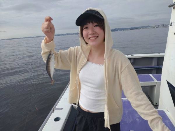 アジ(マアジ)