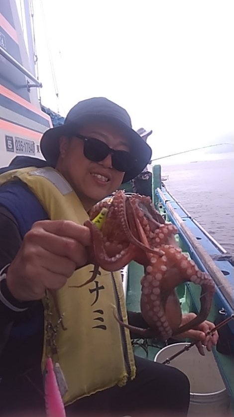 マダコ