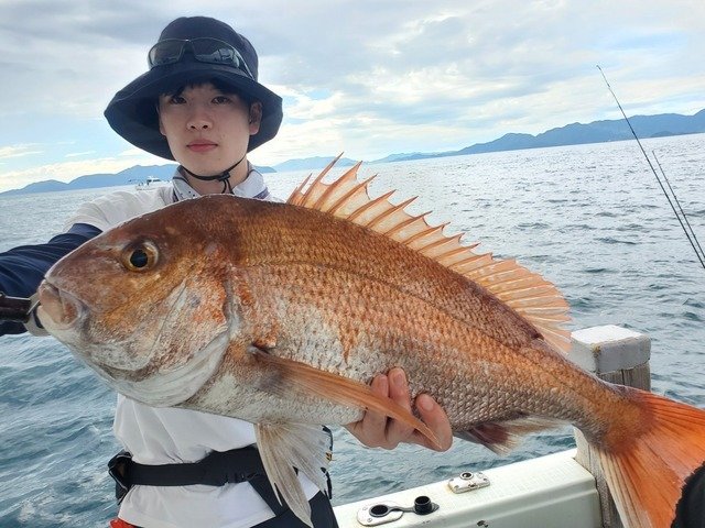 マダイ