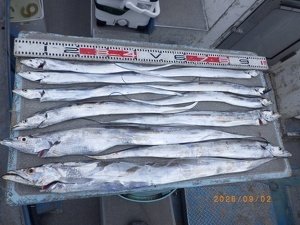タチウオ