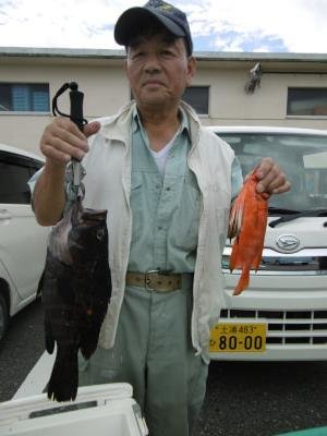 カサゴ・ハタ(マハタ)