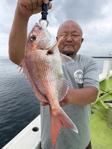 マダイ