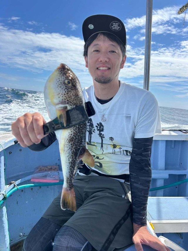 ショウサイフグ