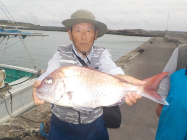 マダイ
