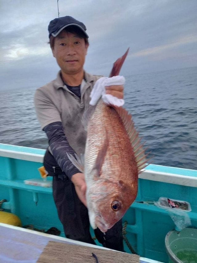 マダイ
