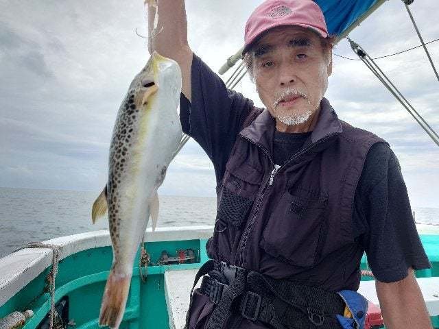 ショウサイフグ