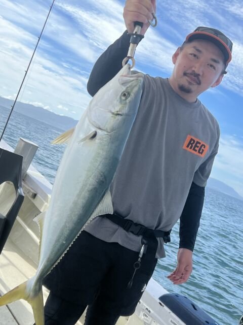 ハマチ(ブリ)