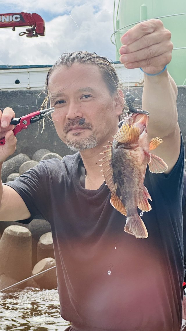 カサゴ