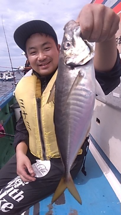 アジ(マアジ)