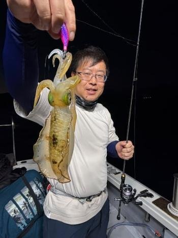 アオリイカ