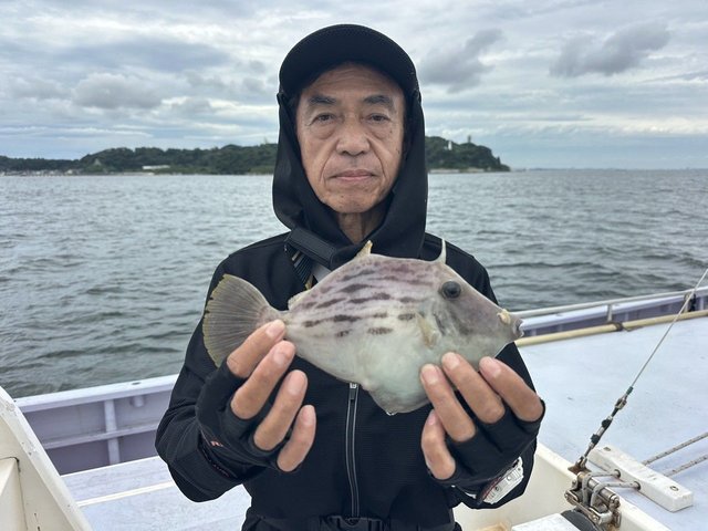カワハギ