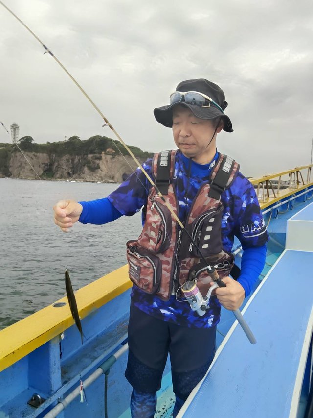 カマス(アカカマス)