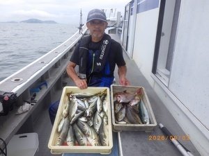 マダイ・アジ(マアジ)