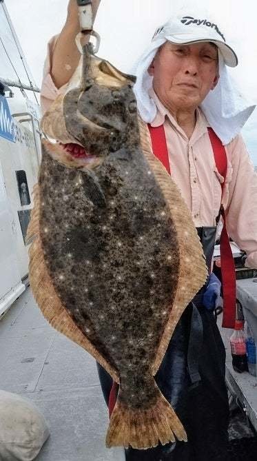ヒラメ
