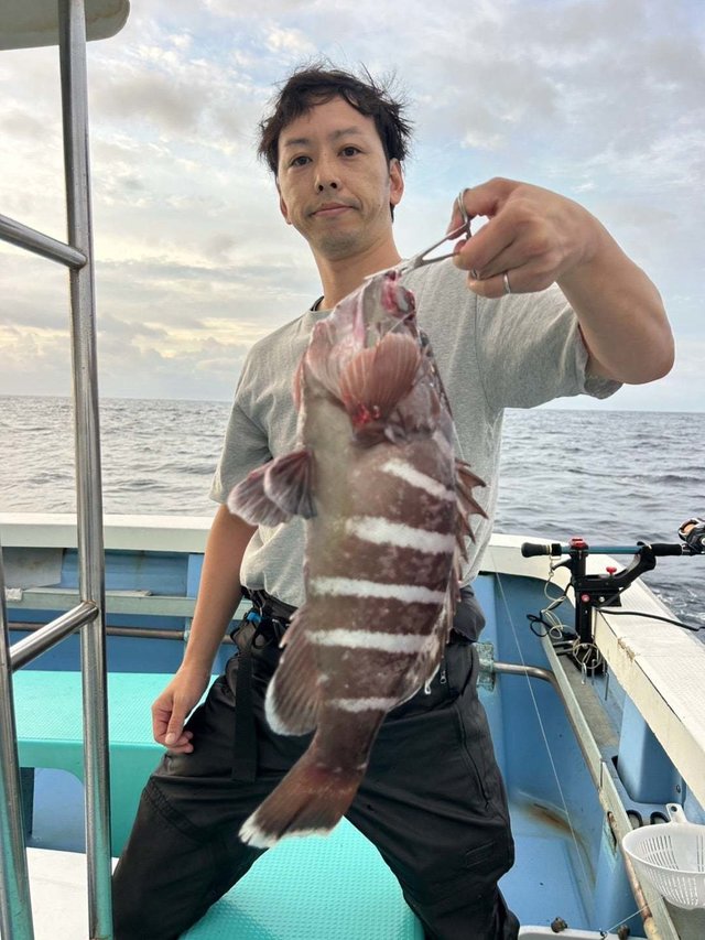 マハタ