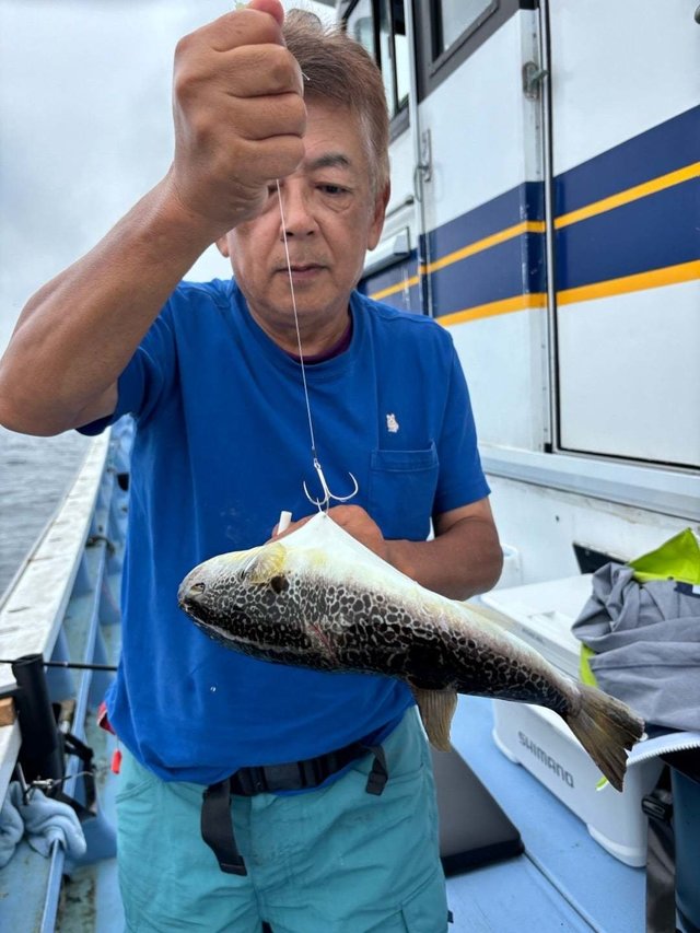 ショウサイフグ