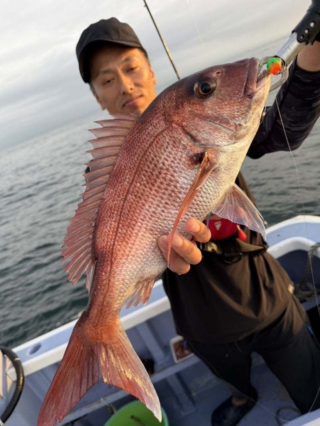マダイ