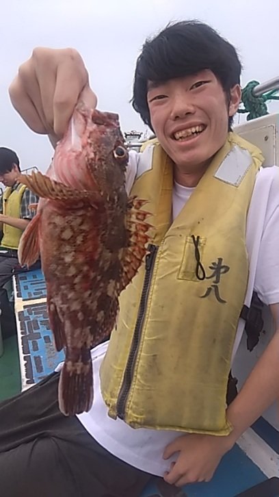 カサゴ