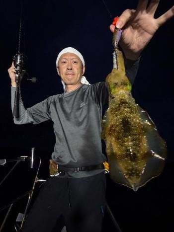 アオリイカ