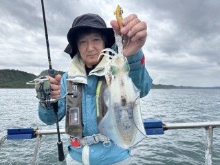 アオリイカ