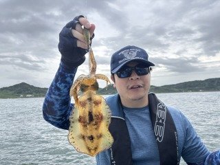 アオリイカ