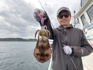 アオリイカ