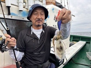 アオリイカ