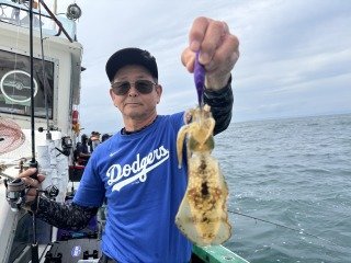 アオリイカ