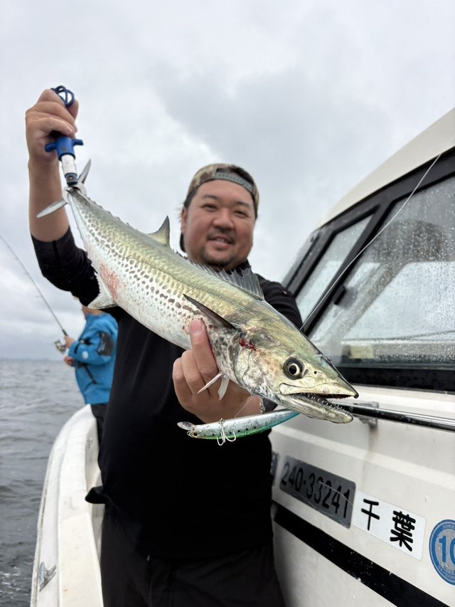サワラ