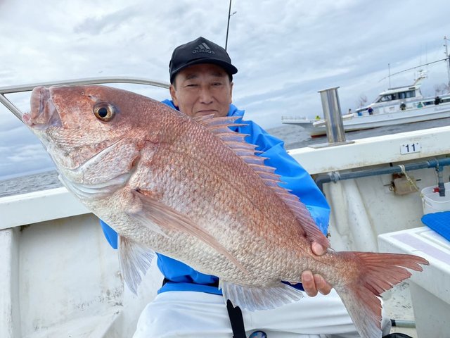 マダイ