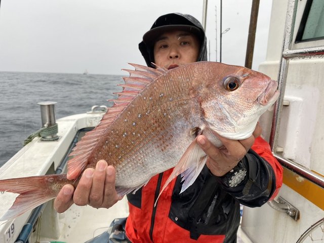 マダイ