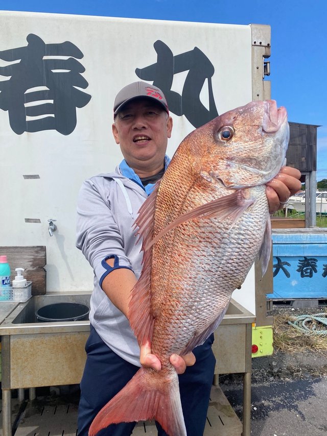 マダイ