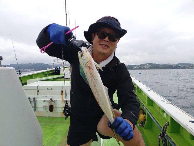 シイラ