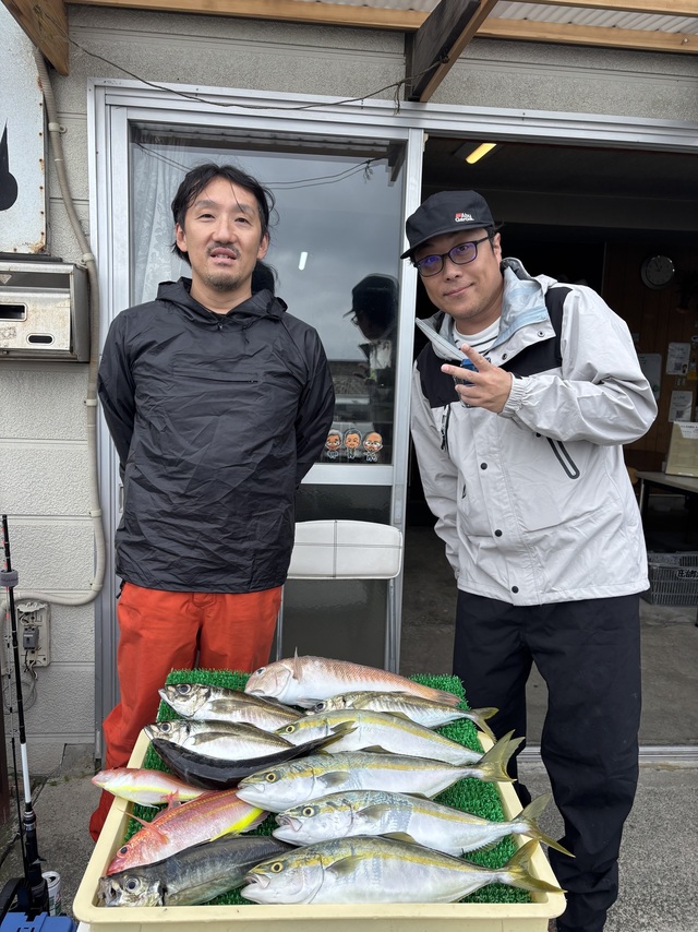 マダイ・アジ(マアジ)・イナダ(ブリ)