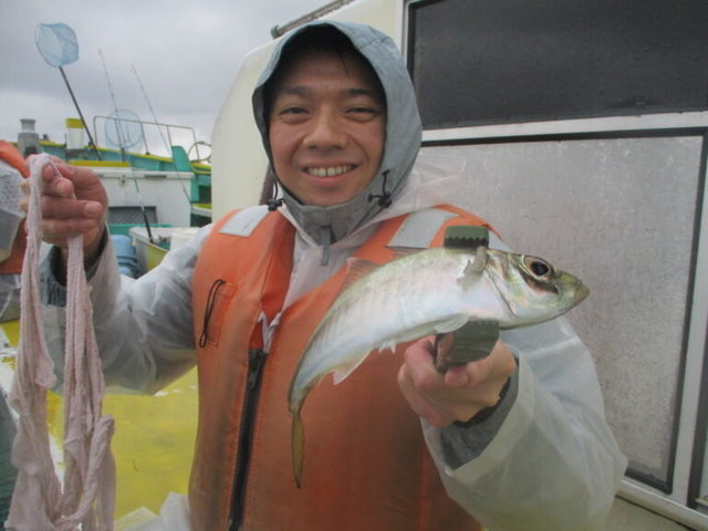 アジ(マアジ)