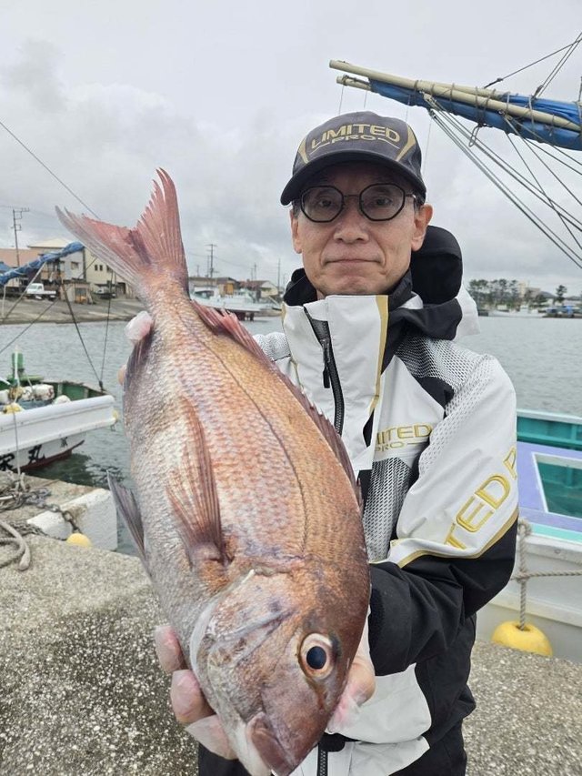 マダイ
