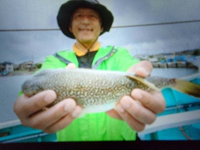 ショウサイフグ