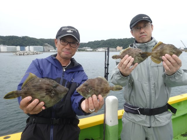 カワハギ