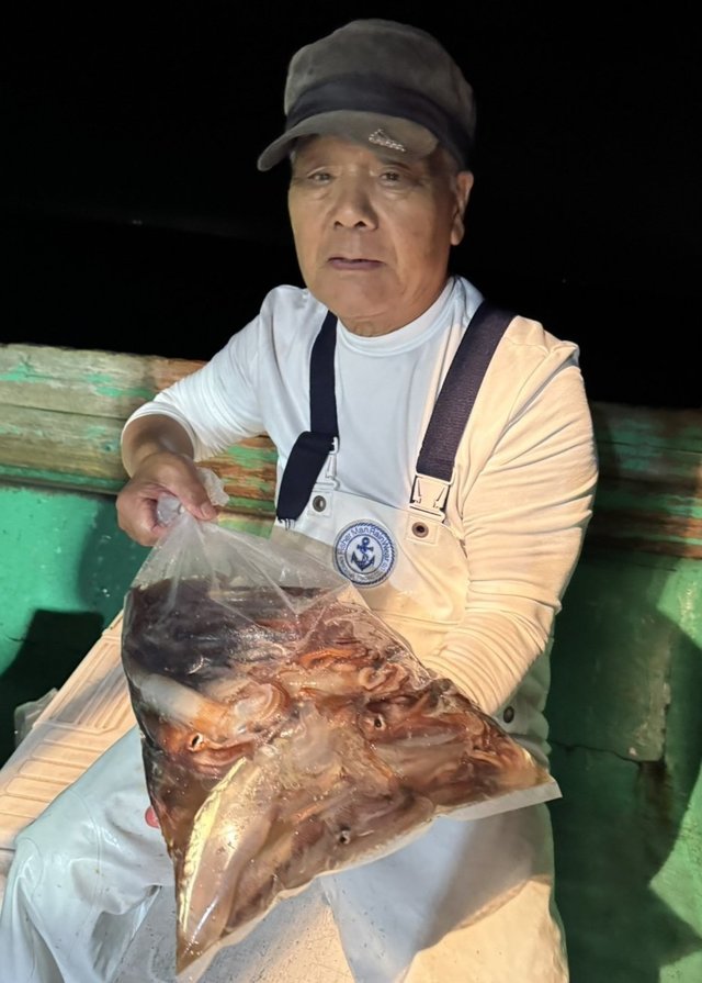 スルメイカ