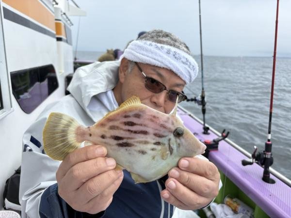 カワハギ