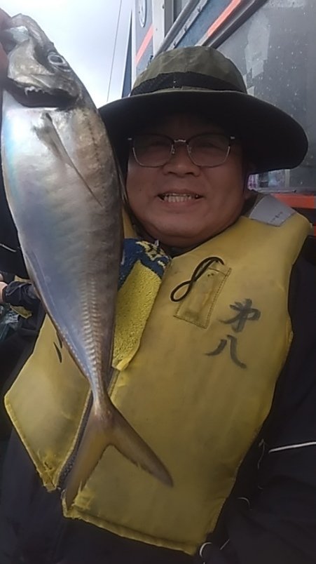 アジ(マアジ)