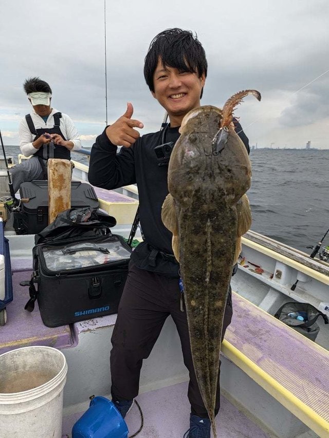 マゴチ
