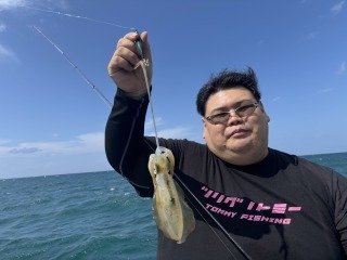 アオリイカ