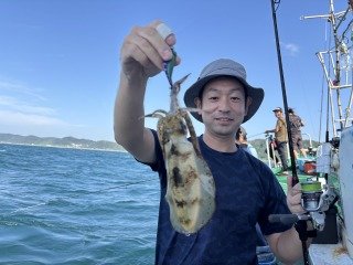 アオリイカ