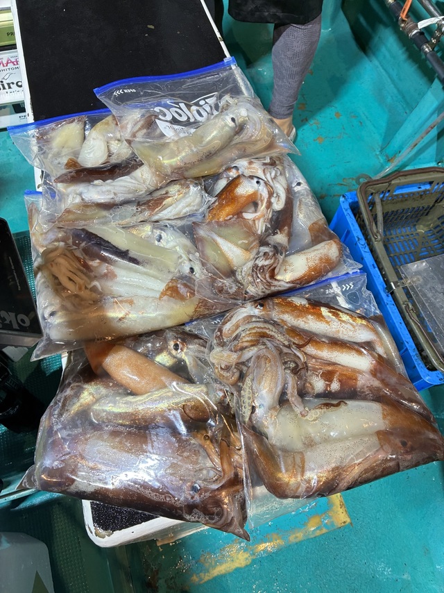 スルメイカ
