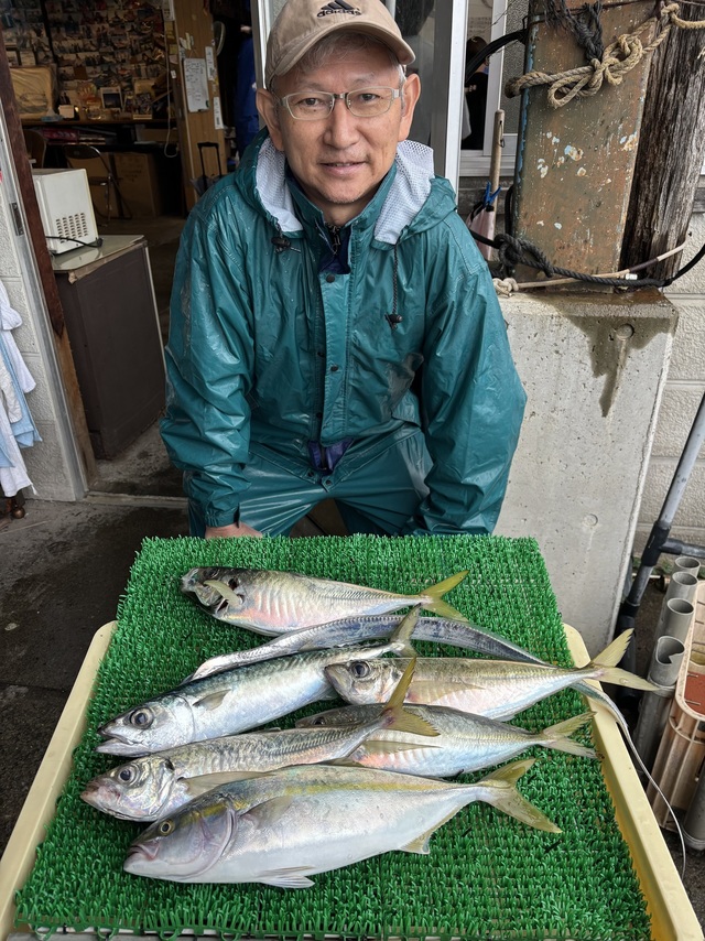 アジ(マアジ)