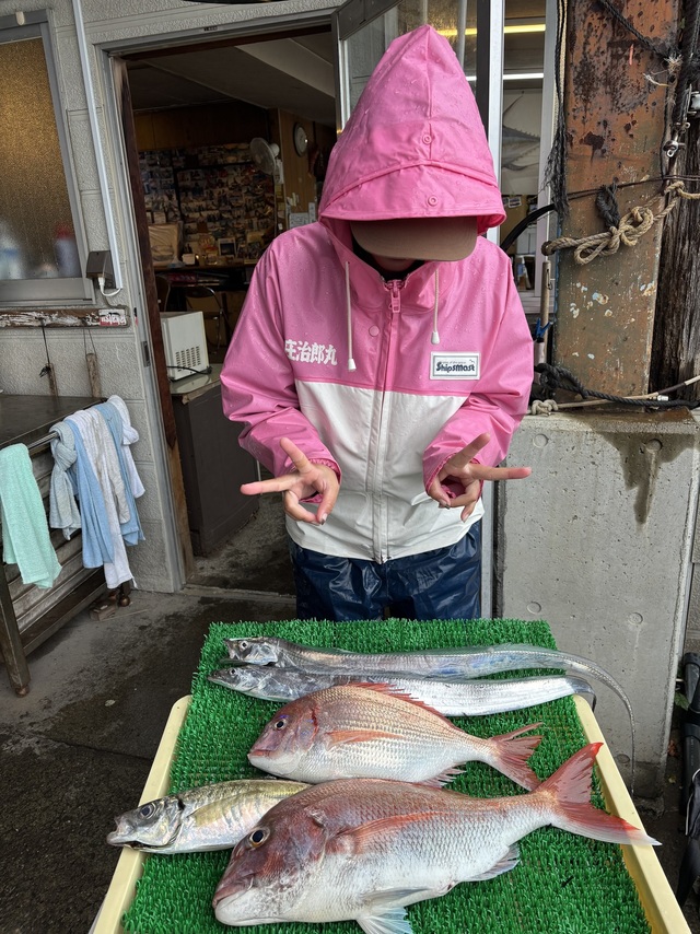 マダイ・アジ(マアジ)